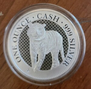 ??2019NZgwĩCh̕󕨖쐶1IXBU