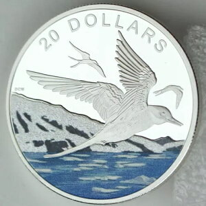 2017N 20h PkɊCFLNAWTVAv[tA{̃_ChOb^[