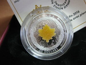 2016N 20h  - hD[W[΂Yȃ[v[t