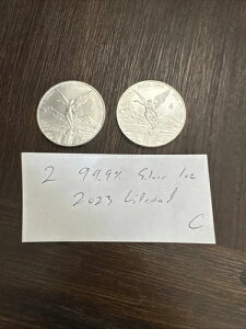 2���Z�b�g - 2023�N���L�V�R 1�I���X �I���U �V���o�[ ���x���^�b�h �R�C�� �t���b�v - BU ?????? ���b�g C