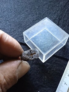 f炵̋␻evRmc̎wցAf炵evRmc̎w