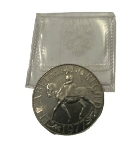 1977N GUxX215NLO NERC DG.REG FD