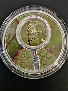 uV[NbgK[fv - Xv - XpC_[ 2021 RC g勾t