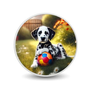 VѐŜЂƂƂFz̉ŊyƂ1IXRC