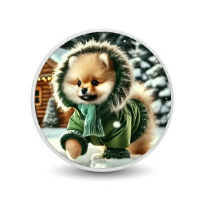 kɂ̈炵F̎U鋏Sn̗ǂq 1IX RC