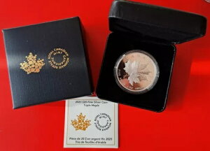 2025NJi_$20gv[v[tv[t1IXVo[RC7,500IWi{bNX