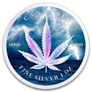 2024�N 1�I���X �`���h �J���i�r�X �X�g�[�� �z���O���t�B�b�N �J���[���