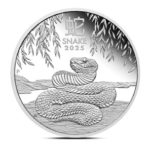 2025N I[XgA  N 1IX .999 Vo[ v[tRC p[X