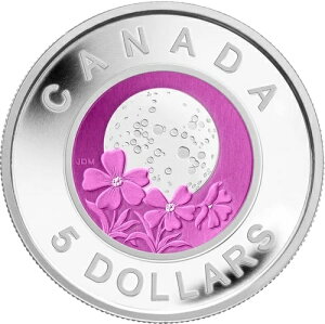 2012NJi_ sN[ 5h݂ƃjIuݕ