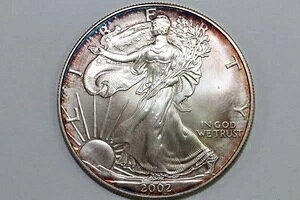 2002N g[ WF AJ 1h Vo[ C[O 1IX t@C 999 O[h MS (SE-2002-36)