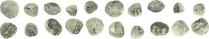 ���V�A 10 x 1 �h���b�v���b�g �R�y�C�J �� 1500-1700 S-SS�ASS (5)