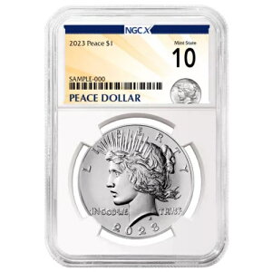 2023N 1h s[XVo[_[ NGCX MS10 s[XXx