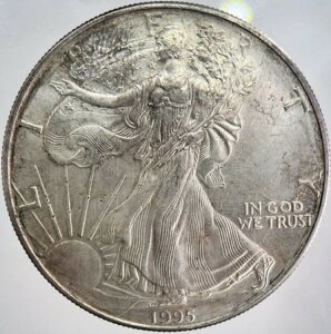 1995N AJ Vo[ C[O 1IX  | ɍO[h | a2555