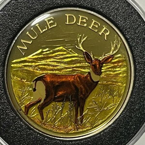 ~[WJ̃J[Gi쐶ARC 2gCIX .999 t@CVo[Eh