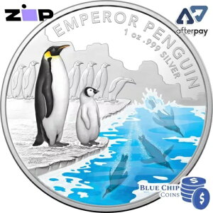 2023N 5h ɒnV[Y - cyM 1IX v[tRC