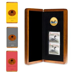 ???? Ji_ 1 h XyV [j[ RCAJ[bLAؔA2020 N