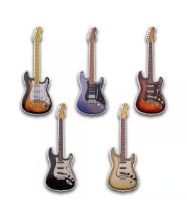 2024 PAMP 1オンス プルーフシルバー フェンダー? ストラトキャスター Am ウルトラアメジスト