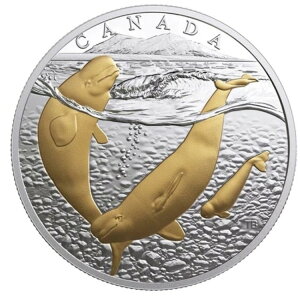 2018NJi_h 20h From Sea to Sea kɃx[K 1IX Vo[ 24K bL OGP