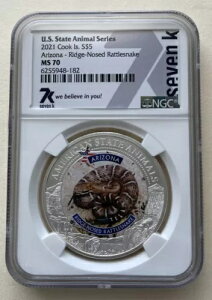 2021�N �V���o�[ 1�I���X �N�b�N���� �A���]�i�Y ���b�W�m�[�Y�K���K���w�r NGC MS70 �q�h�D�� 7K*