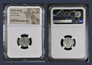 NGC 198-217�N ���[�}�鍑 AR �V�[�U�[���̋�f�i���E�X