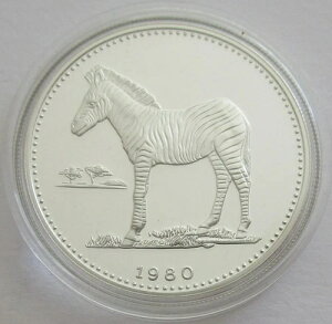 ԓMjA 2000 GNG 1980 쐶 V}E} Vo[