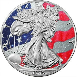 2025NčVo[C[OX[vVXXg[tbOGfBV1IX.999Vo[RC