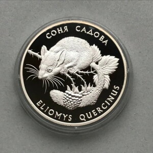 ENCi Vo[ 10 OF 1999 K[f h[}EX v[t