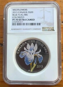 NGC PF70 UC 2013 Ji_ Cht[ - u[tbO ACX RC