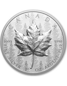 [v[t UHR X 1IX  20h Ji_ 2024N