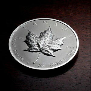 2022N 1IX UHR v[tVo[ [v[tRCA SML - Ji_-RCM