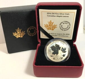 2016NJi_10h - Ji_̃[v[t