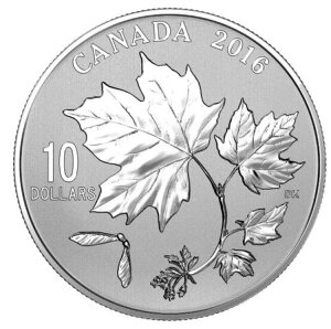 2016NJi_10h - Ji_̃[v[t