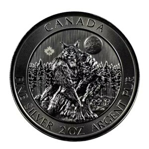 2021NJi_Tj2IX k̐V[Y