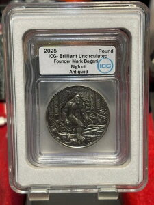 2025 icg Bu mFw AeB[N rbOtbg Vo[ EhC^I ~g 75 ~g1