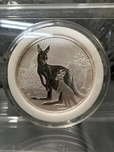 2022N I[XgA 2IX JK[xr[  .9999 - NB[EGUxX2