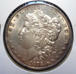 ����̂���u�����A���g������ BU 1878 S �T���t�����V�X�R �����K����� 1�h��