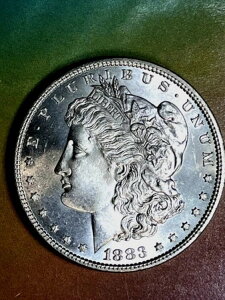 1883�N�����K���h�����������$180�A��������$95����