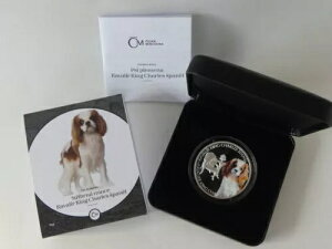 `FRa ݃v[t 2023 -  - LoALO`[Y -