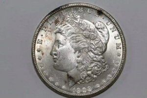 1902-O �����K�� 90% �V���o�[ �_���[ �O���[�h �~���g�X�e�[�g (MDX4889)