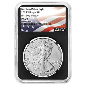 2024-W o[jbVh 1h AJ Vo[ C[O NGC MS70 FDI tbO x g RA