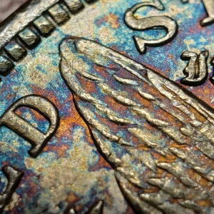 1921N 1h KE_[ - dグ - IȃC{[Eg[jO - rfI - SKU-D5778