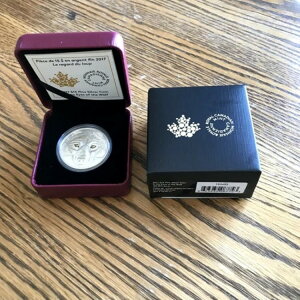 Ji_ 2017N 15h  - T̖ڂ̒