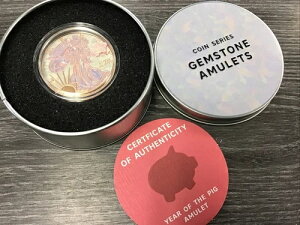 AJ 2019N 1h Vo[ C[O Ip[  A~bg 1IX 