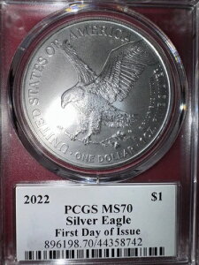 2022NVo[C[O s g[}Y gCAt MS 70 M[XgCN