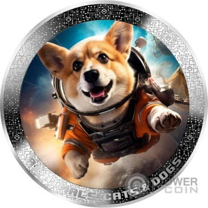 Fsm AI-NIMALS 1IX 1000t J[ 2025N
