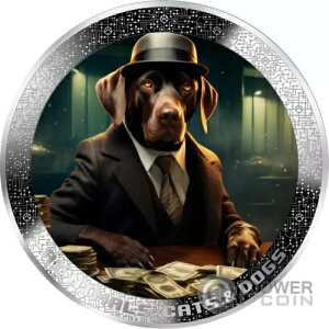 }tBA oJ[ hbO AI-NIMALS 1IX Vo[RC 1000t J[ 2025