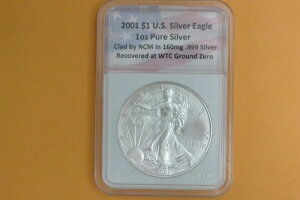 2001N Vo[C[Oh 1IXi160 mg  .999 ܂ށj WTC OEh[ŉ܂