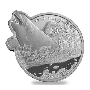 2020N \ 2IX Vo[ I[Vvf^[Y V` v[tRC