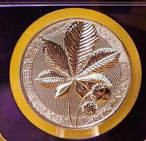 2021 Q}jA ~g 1 IX `FXibg [t Vo[ _ NGC MS70 - p[v RA!