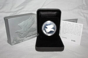 2014N 1h I[XgA EFbWe[C[O 1IX v[t